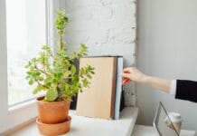Zablokowany folder w Windows 11: jak przejąć uprawnienia i usunąć oporny plik Zablokowany folder w Windows 11: jak przejąć uprawnienia i usunąć oporny plik